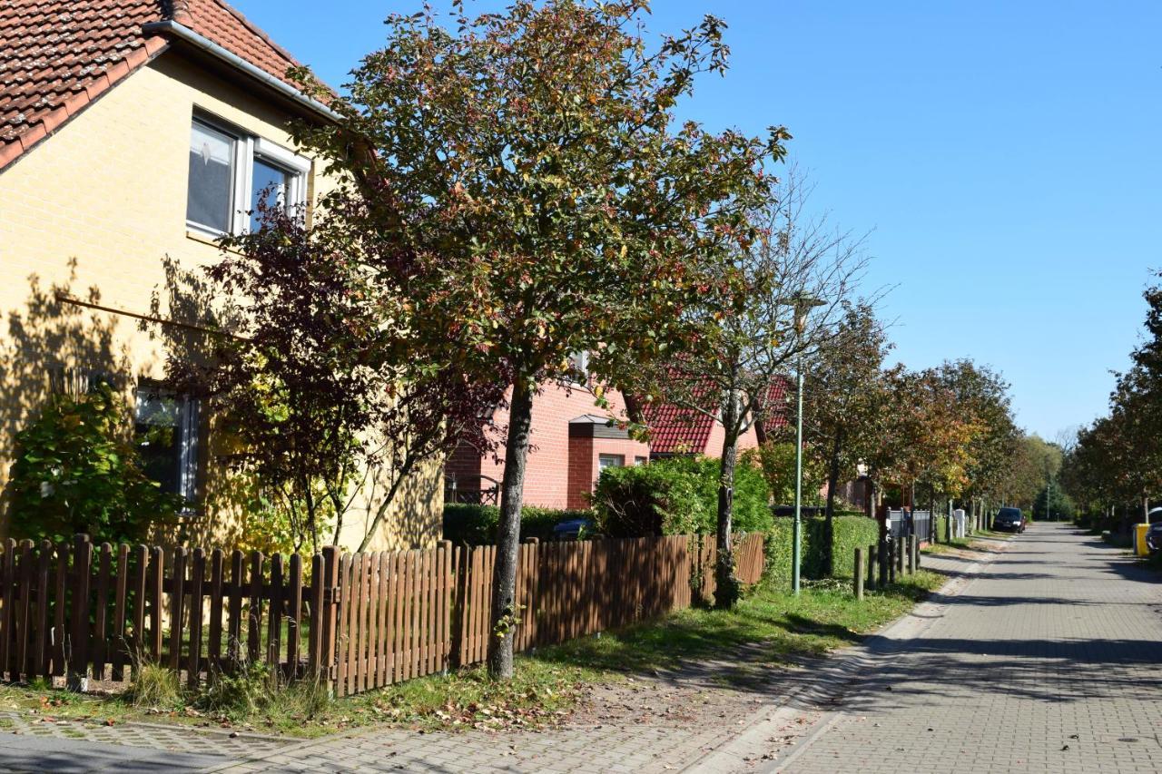 Encanto Potsdam