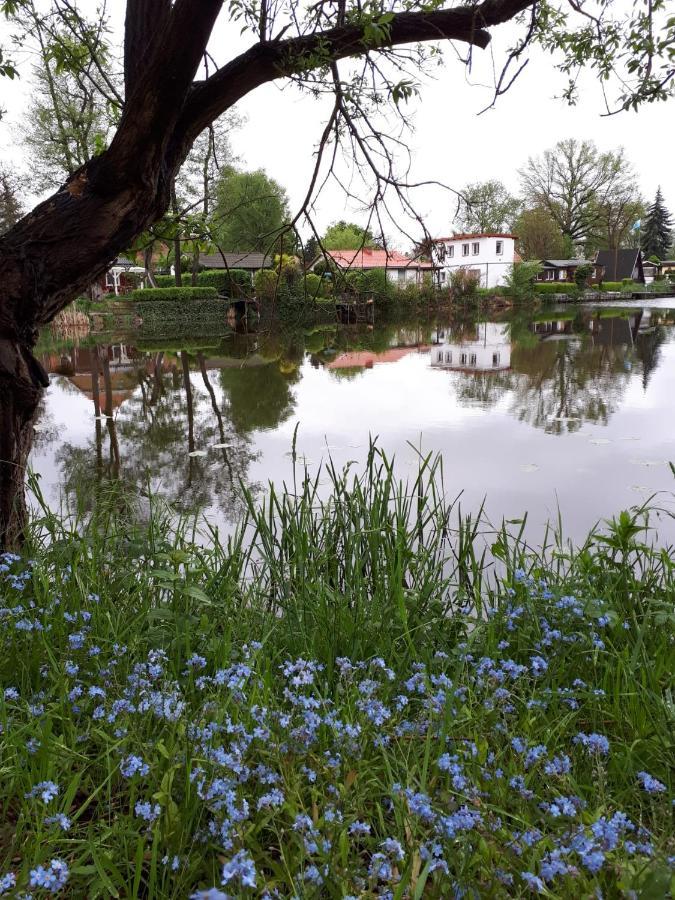 Encanto * Potsdam